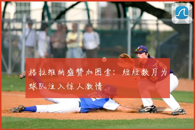 格拉维纳盛赞加图索:短短数月为球队注入惊人激情