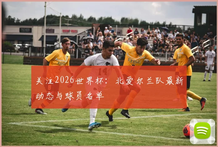 关注2026世界杯：北爱尔兰队最新动态与球员名单