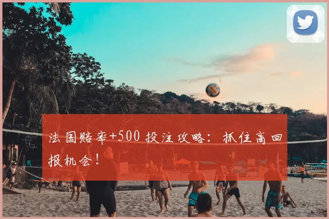 法国赔率+500 投注攻略：抓住高回报机会！