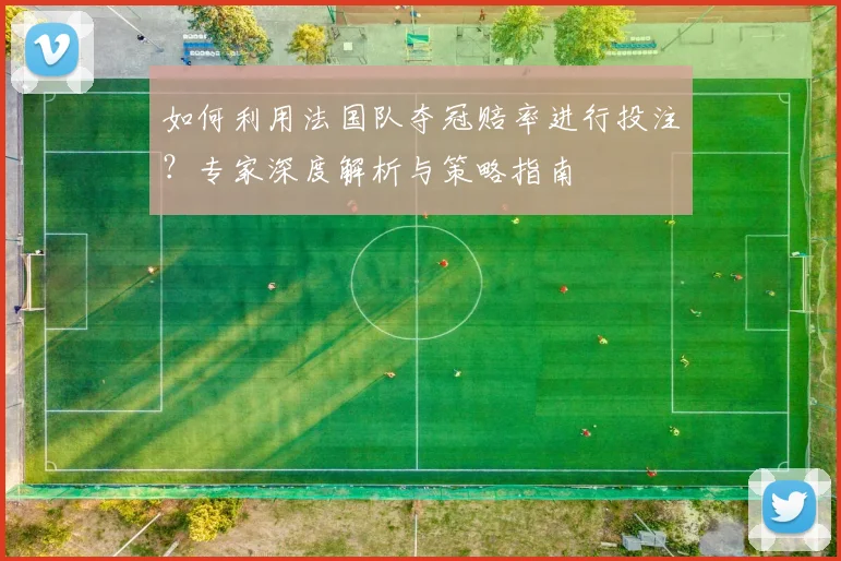 如何利用法国队夺冠赔率进行投注?专家深度解析与策略指南